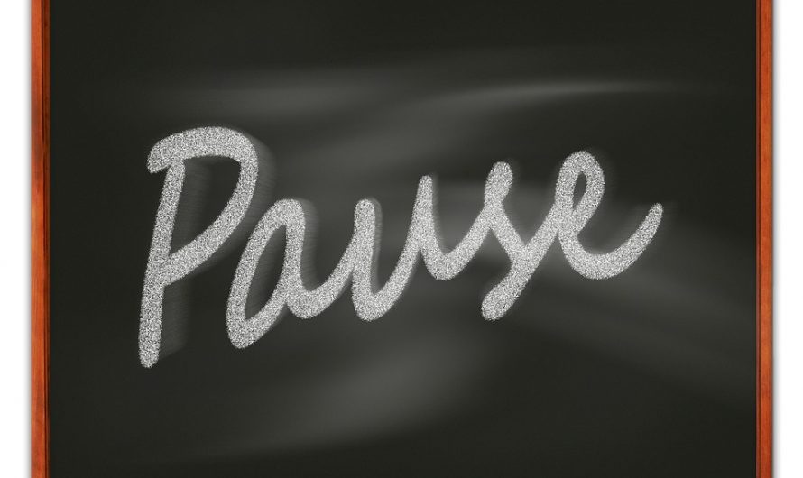 Die Pausenscouts sind wieder im Einsatz